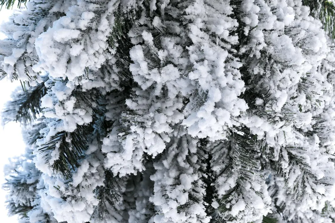Abeto Artificial, Estrecho, Cubierto De Nieve 240 Cm