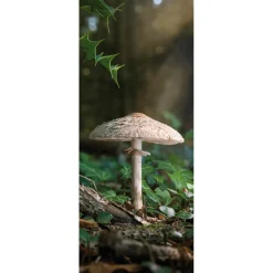 Bandera De Tela Ignífuga "Gran Seta" De Tela De Bandera 75 X 180 Cm