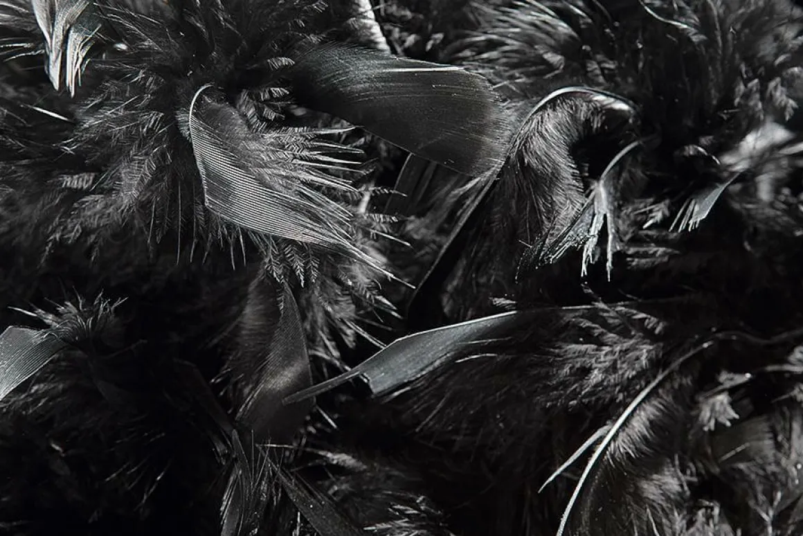 Boa De Plumas, Negra, 180 Cm