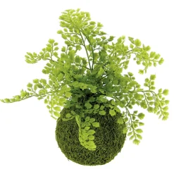 Bola De Musgo Artificial Con Helecho Culantrillo 30 Cm