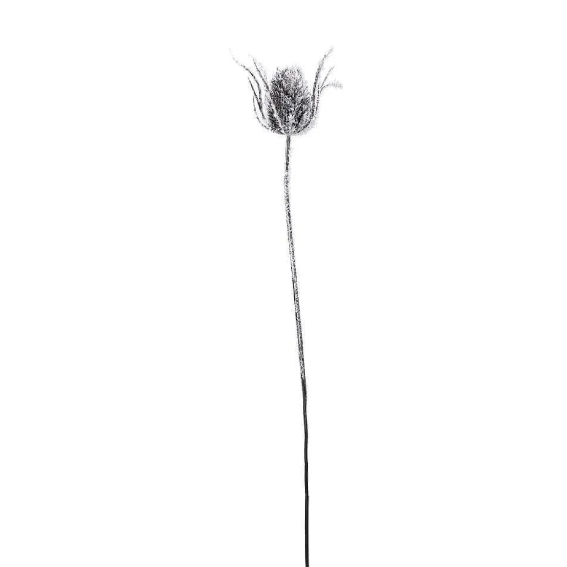 Cardo De Rama Artístico Nevado, 74 Cm