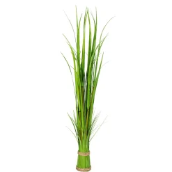 Carrizo Decorativo 90 Cm