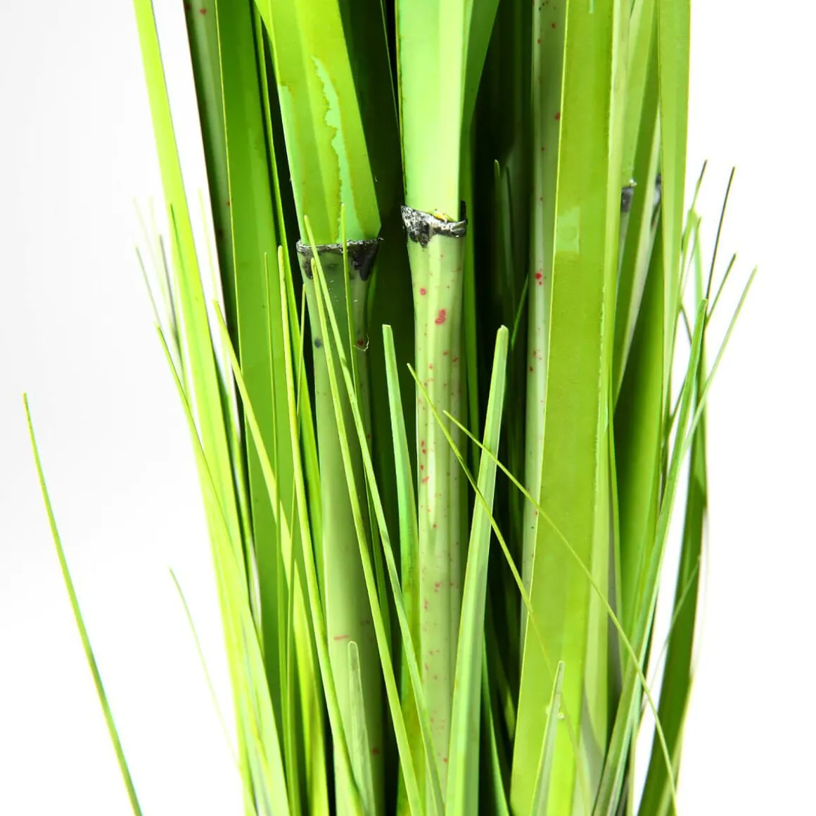 Carrizo Decorativo 90 Cm
