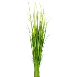 Carrizo Decorativo, 150 Cm