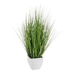Deco Hierba Cebra En Maceta Blanca 50 Cm