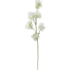 Decoración Del Puesto De Frutas "Wild Vine 87 Cm