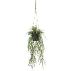 Espárrago Artificial Ornamental Asparagus Cesta Colgante 20 X 50 Cm