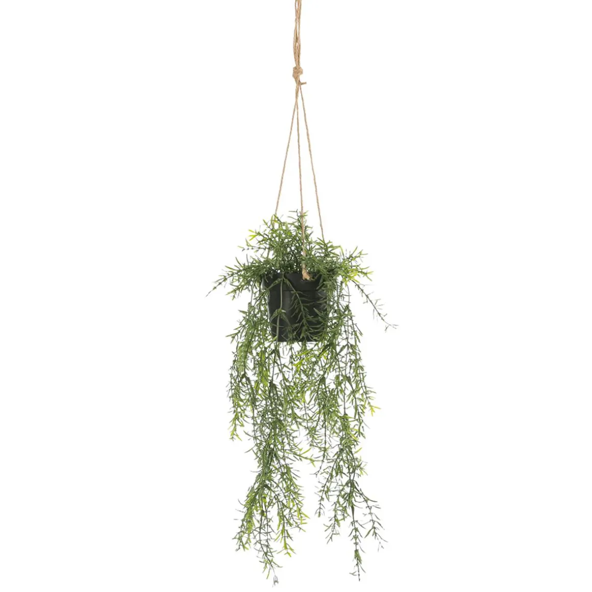 Espárrago Artificial Ornamental Asparagus Cesta Colgante 20 X 50 Cm