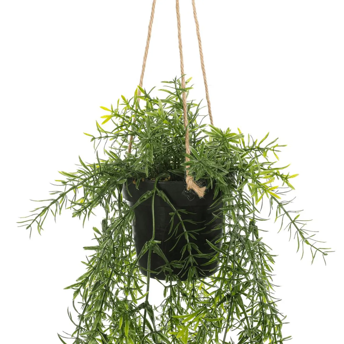 Espárrago Artificial Ornamental Asparagus Cesta Colgante 20 X 50 Cm