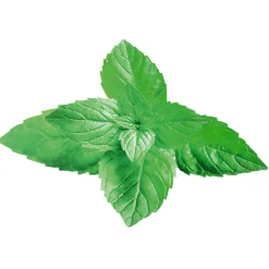 Expositor Para Colgar "Menta" 42 X 55 Cm