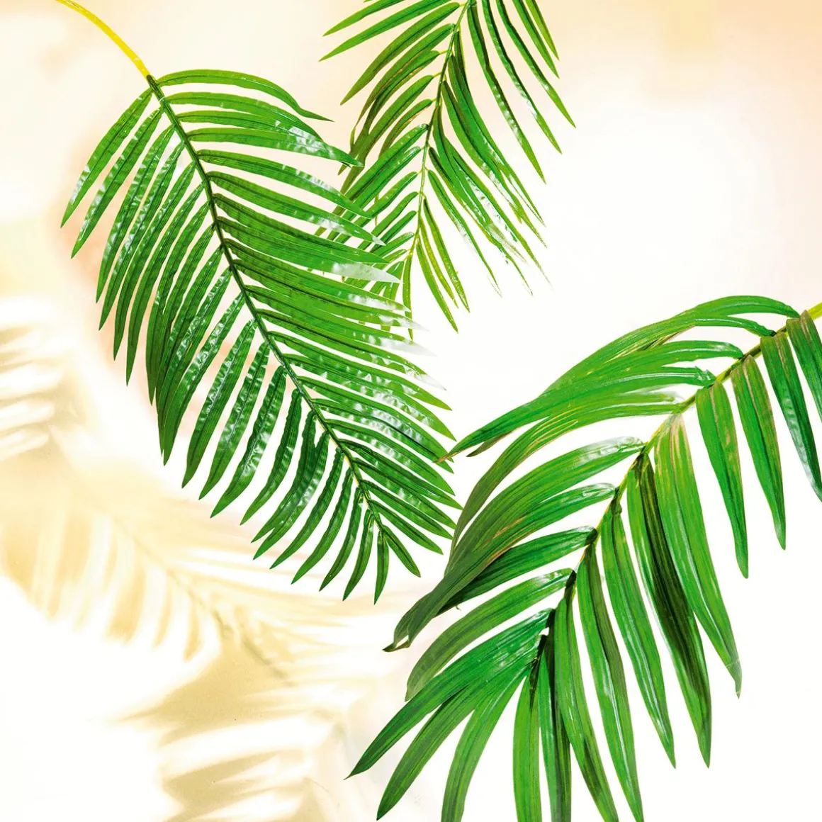 Fronda De Areca Gigante Decorativa, Longitud 180 Cm