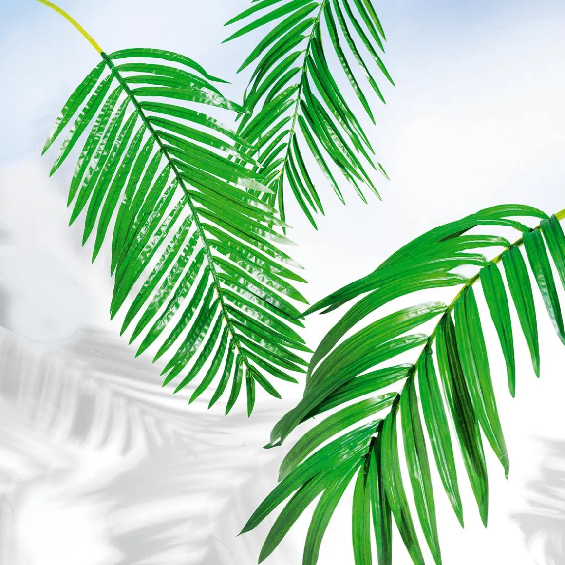 Fronda De Areca Gigante Decorativa, Longitud 180 Cm