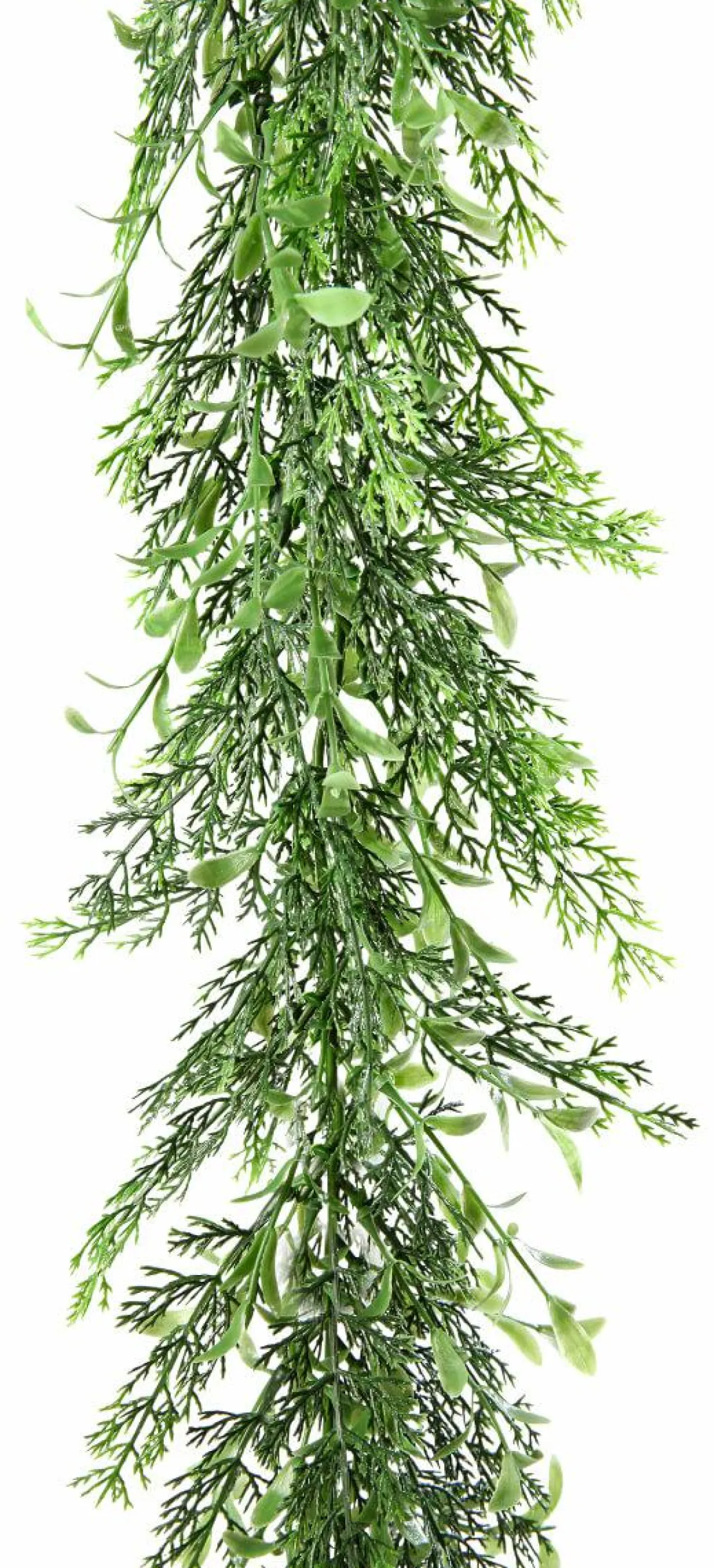 Guirnalda De Ciprés Y Boje, Longitud: 170 Cm