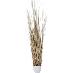 Haz De Hierba Seca De 150 Cm De Altura, En Maceta Blanca Ø 20 Cm