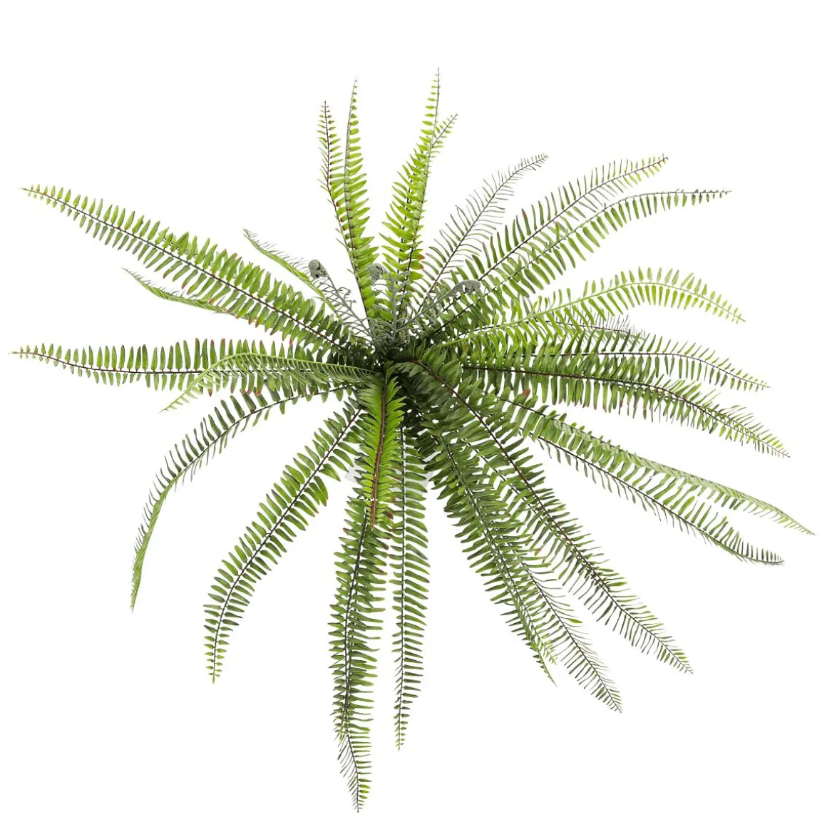 Helecho XXL - Planta Artificial Con Palo De Inserción 100 Cm Ø