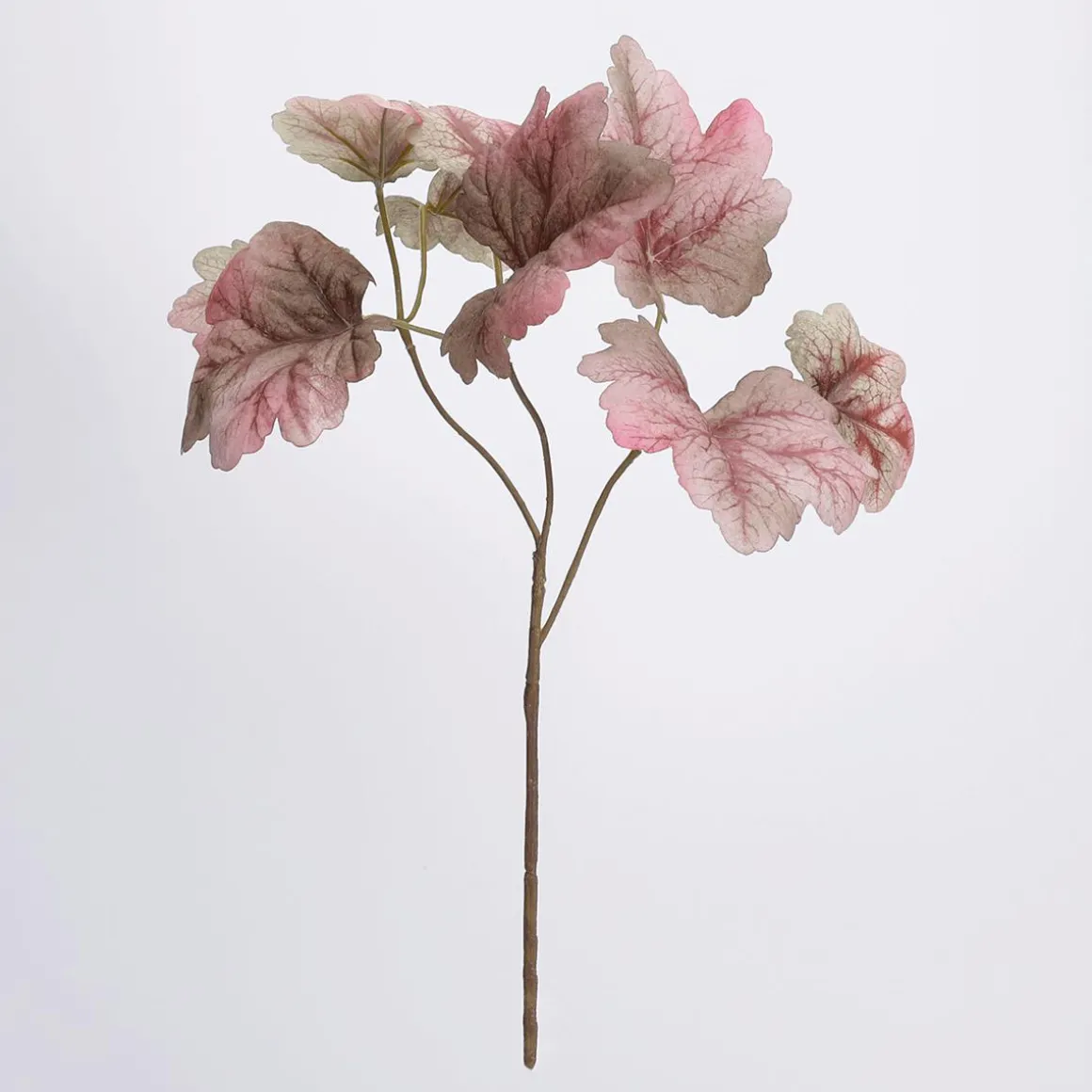 Heuchera De Otoño Rama Frondosa 40 Cm Rosa