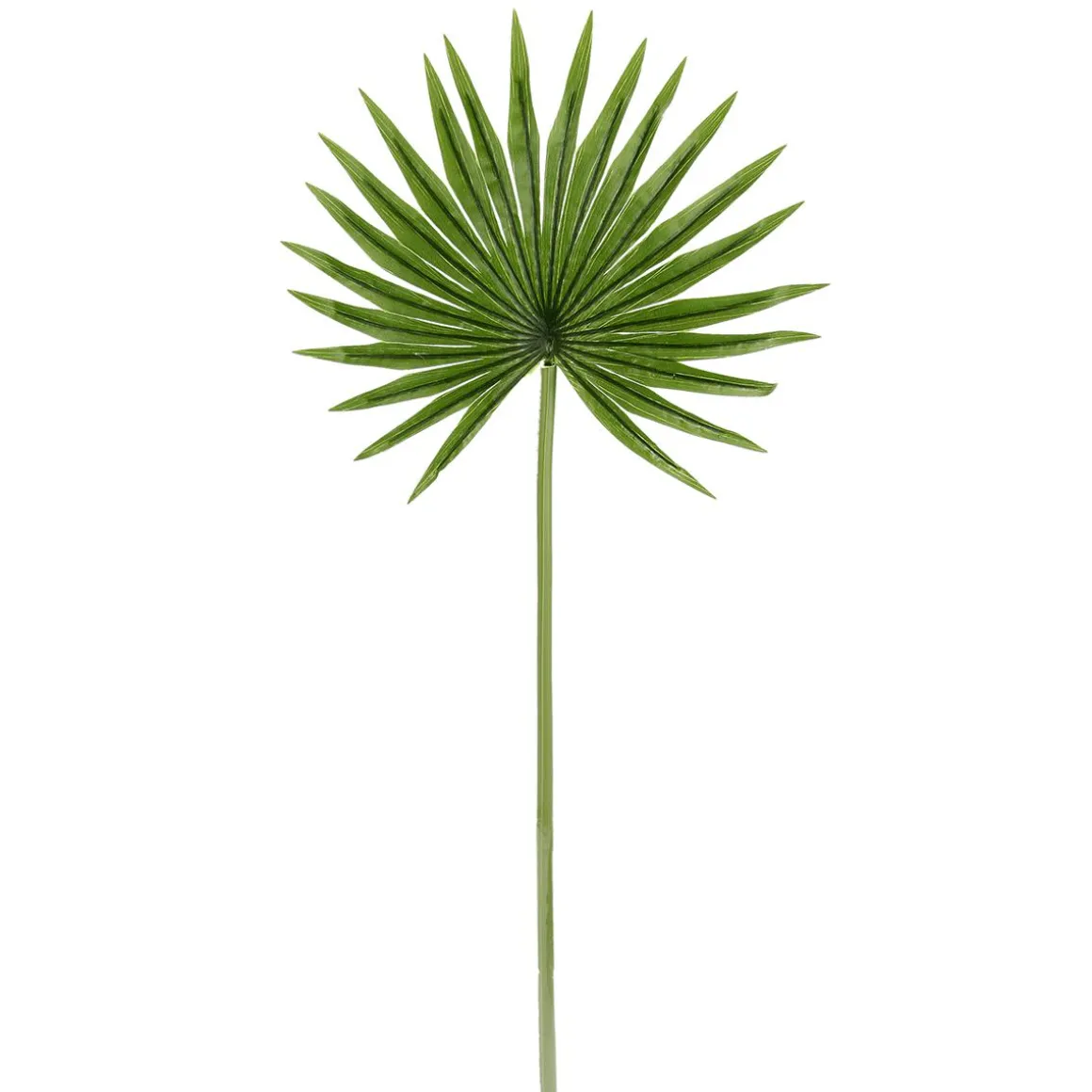 Hoja De Palmera En Abanico Decorativa, Longitud 66 Cm, 2 Piezas