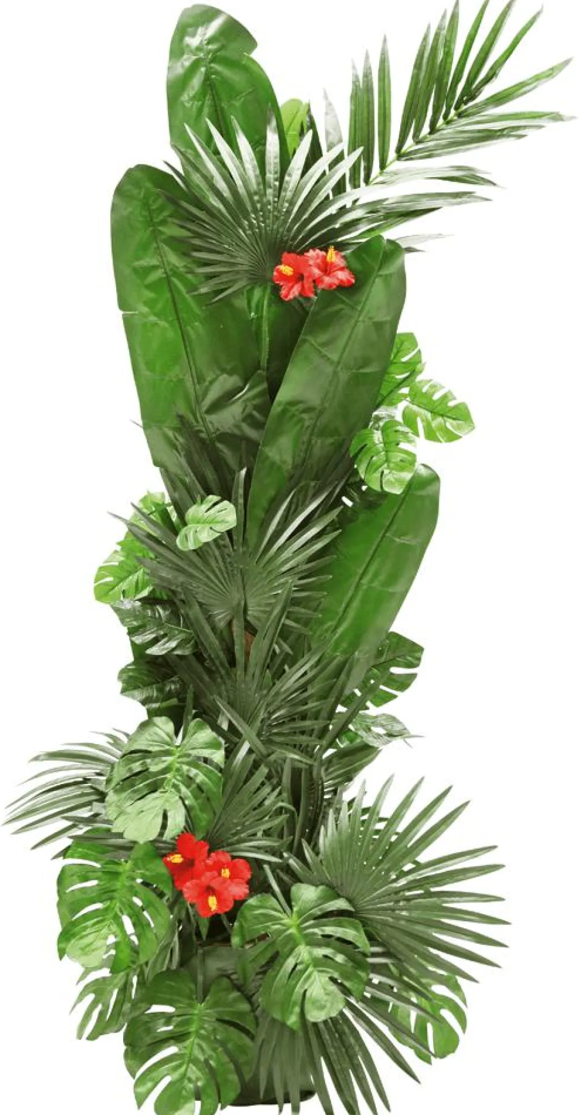 Hoja De Palmera En Abanico Decorativa, Longitud 66 Cm, 2 Piezas