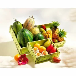 Imitación De Melón Galia 16 Cm Ø