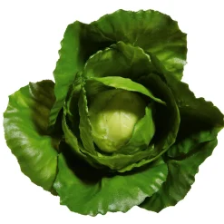 Imitación De Repollo, Ø 13 Cm