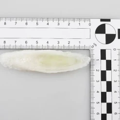 Imitación De Rodajas De Puerro, 6 Piezas