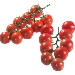 Imitación De Tomates En Rama Rojo, 2 Ramas