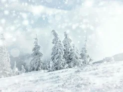 Lona XXL "Paisaje De Nieve" De Lona De Camión Ignífuga 250 X 330 Cm