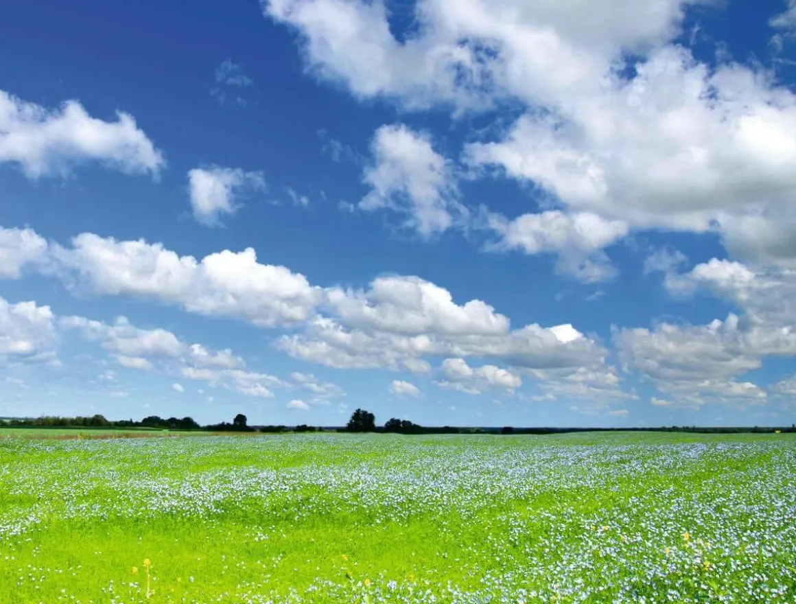 Lona XXL "Pradera Y Cielo Nublado" De Lona De Camión Ignífuga 250 X 330 Cm