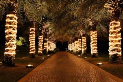 Manguera De Luz Para Iluminación Decorativa, 44 M
