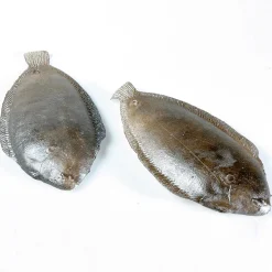 Maniquí De Solla, 2 Piezas