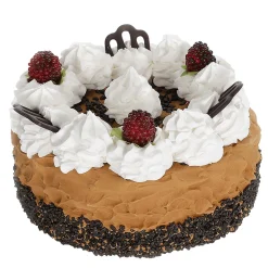 Maniquí De Tarta De Chocolate 15 Cm Ø