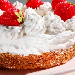 Maniquí Para Tarta De Fresa Y Nata 20 Cm Ø