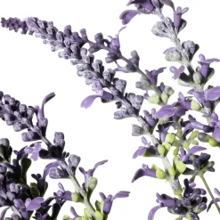 Manojo De Hierba De Lavanda Deco 55 X 25 Cm (HxA)