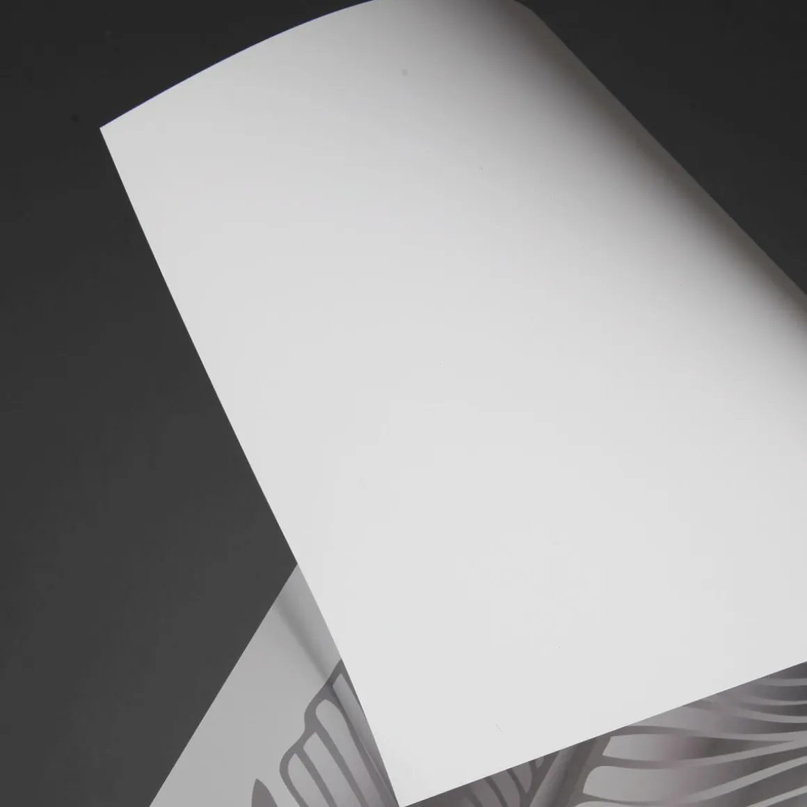 Muelle De La Bandera De Papel De Aluminio, 139 Cm De Largo