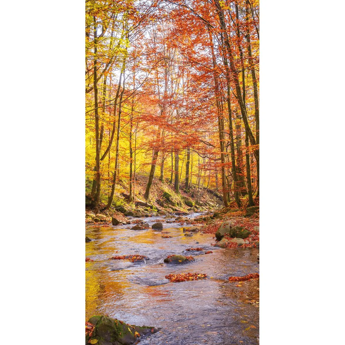 Pancarta De Tela Brook Autumn 100 X 200 Cm