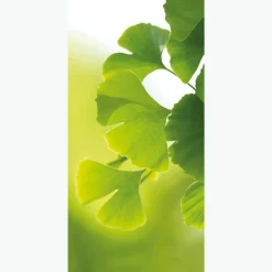 Pancarta De Tela Ignífuga "Ginkgo" De Tela De Bandera De 100 X 200 Cm