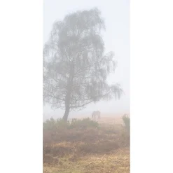Pancarta De Tela Ignífuga "Niebla De Otoño" De Tela De Bandera 100 X 200 Cm