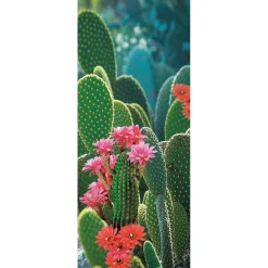 Pancarta De Tela Ignífuga "Cactus En Flor" En Tela De Bandera 75 X 180 Cm