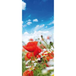 Pancarta De Tela Ignífuga "Pradera Con Amapolas Y Margaritas" De Tela De Bandera 75 X 180 Cm