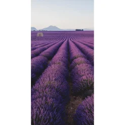 Pancarta De Tela Ignífuga "Campo De Lavanda En Provenza" De Tela De Bandera 100 X 200 Cm