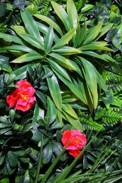Panel De Mezcla De Pasto Y Flores, 1 X 1 M