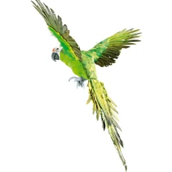 Papagayo Decorativo Verde Longitud 77 Cm