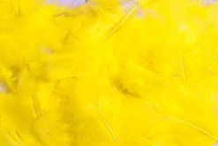 Plumas Decorativas Amarillas, 20 G