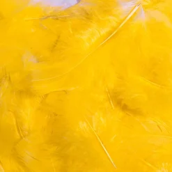 Plumas Decorativas Amarillas, 20 G