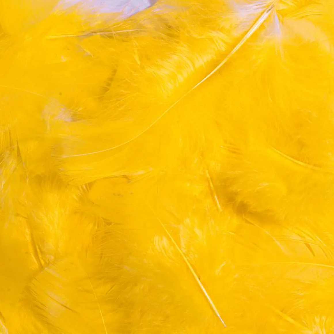 Plumas Decorativas Amarillas, 20 G