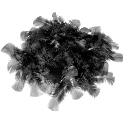 Plumas Decorativas Negras, 20 G