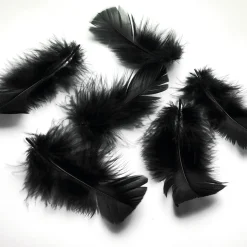 Plumas Decorativas Negras, 20 G