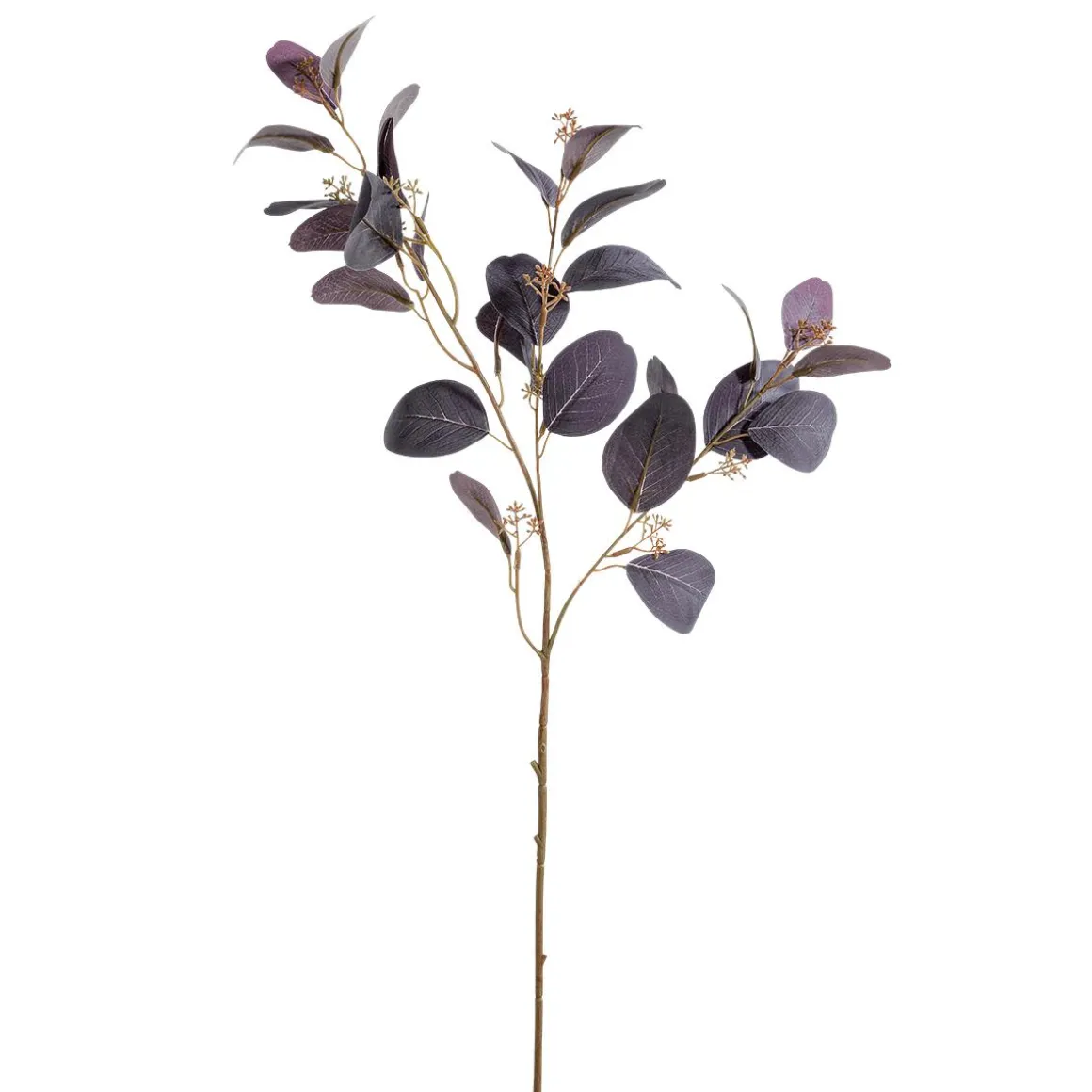 Rama Decorativa De Eucalipto, 70 Cm De Largo