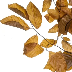 Ramitas De Haya Auténticas, Amarillo - Naranja 80 Cm