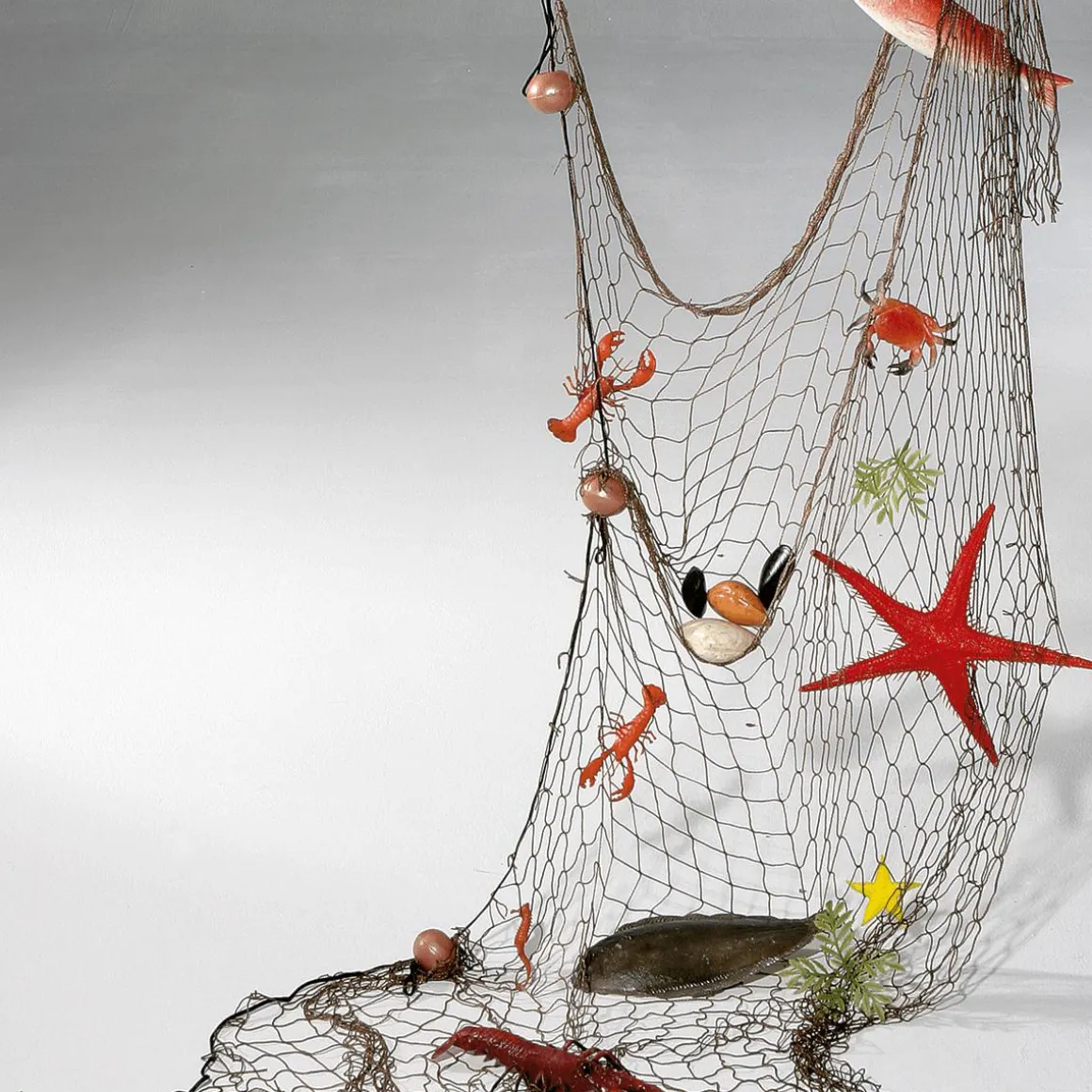 Red De Pesca Marítima Con Animales Marinos